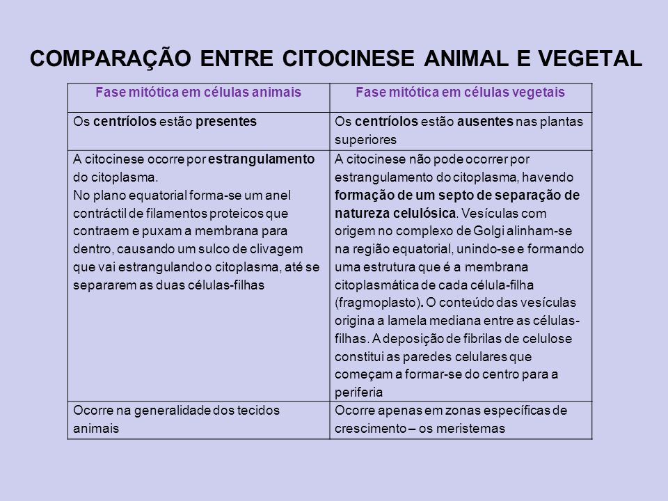 COMPARAÇÃO ENTRE CITOCINESE ANIMAL E VEGETAL