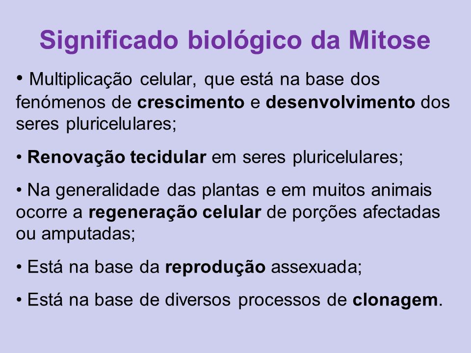 Significado biológico da Mitose