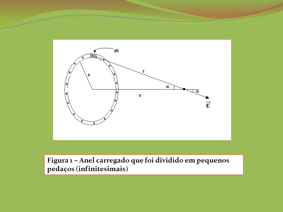 Figura 1 – Anel carregado que foi dividido em pequenos pedaços (infinitesimais)