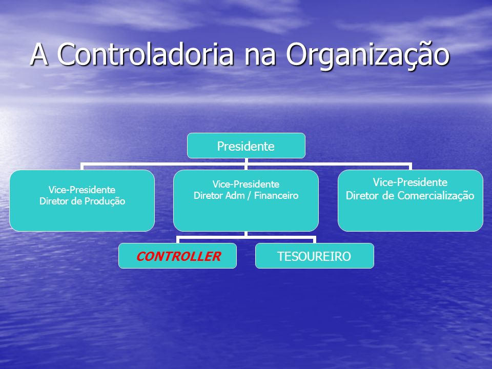 A Controladoria na Organização