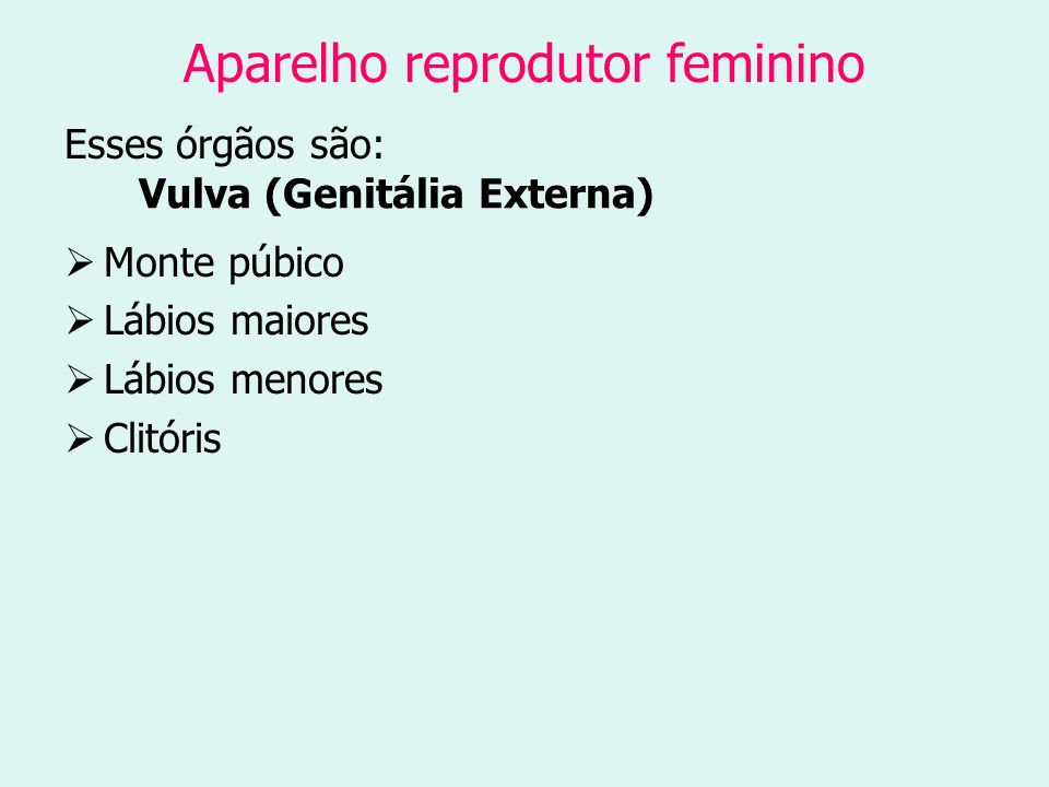 Aparelho reprodutor feminino