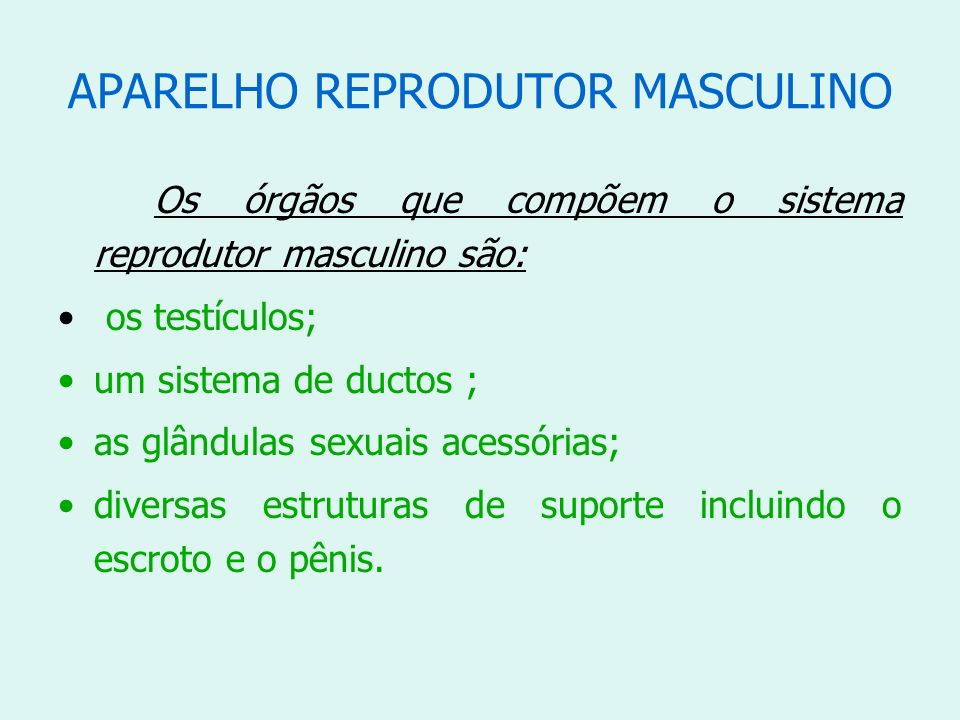 APARELHO REPRODUTOR MASCULINO