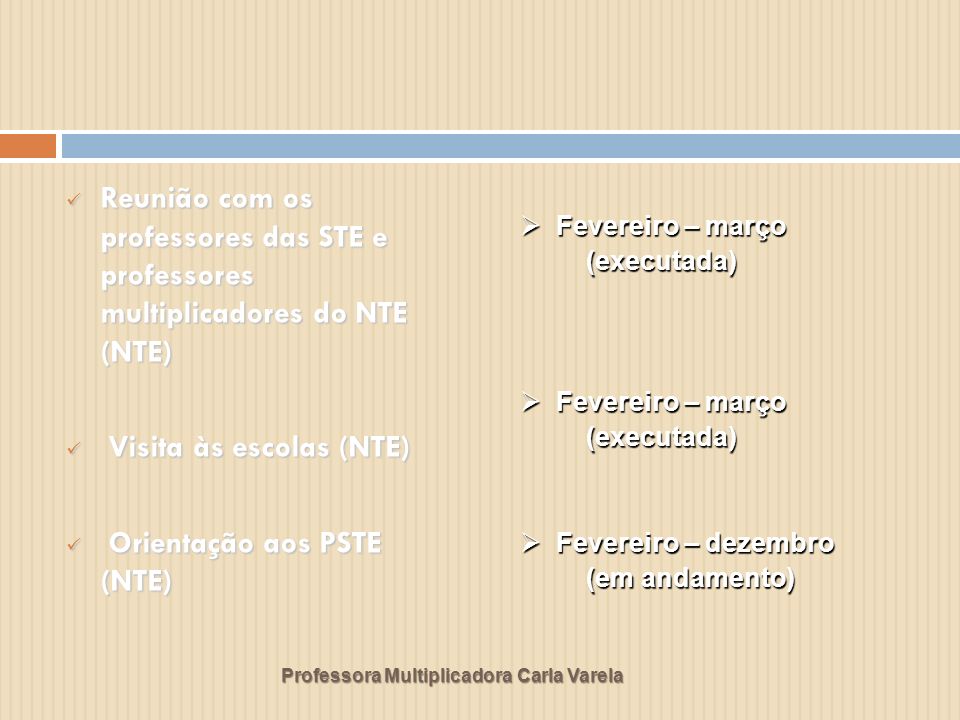 Visita às escolas (NTE) Orientação aos PSTE (NTE)