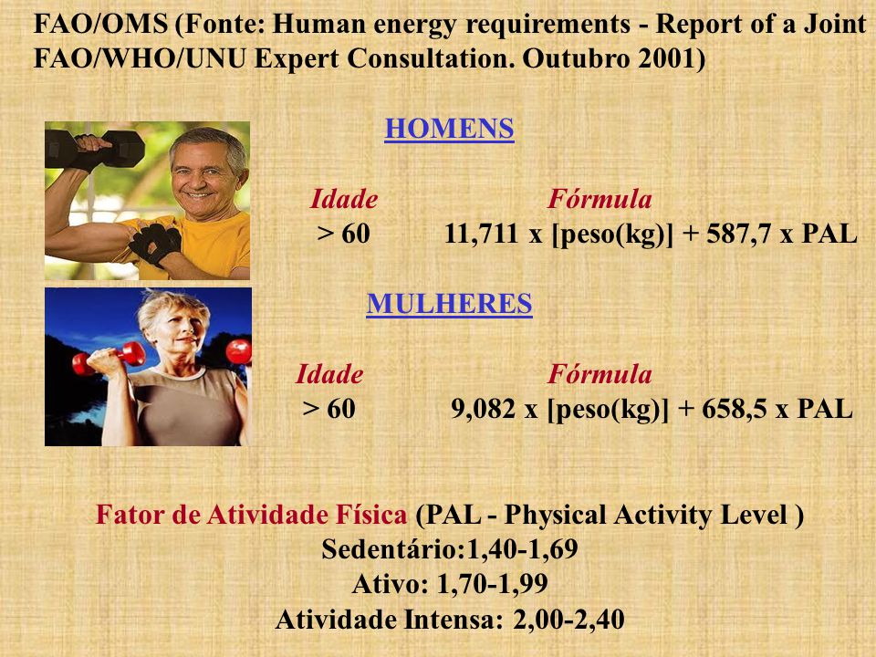 Fator de Atividade Física (PAL - Physical Activity Level )