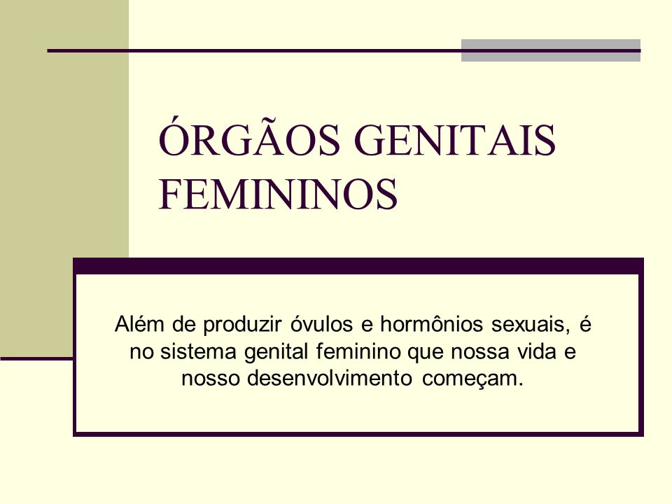 ÓRGÃOS GENITAIS FEMININOS
