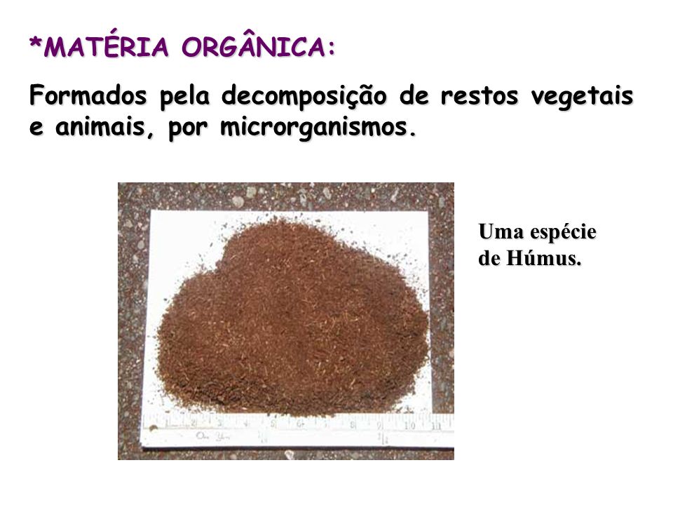 *MATÉRIA ORGÂNICA: Formados pela decomposição de restos vegetais e animais, por microrganismos.