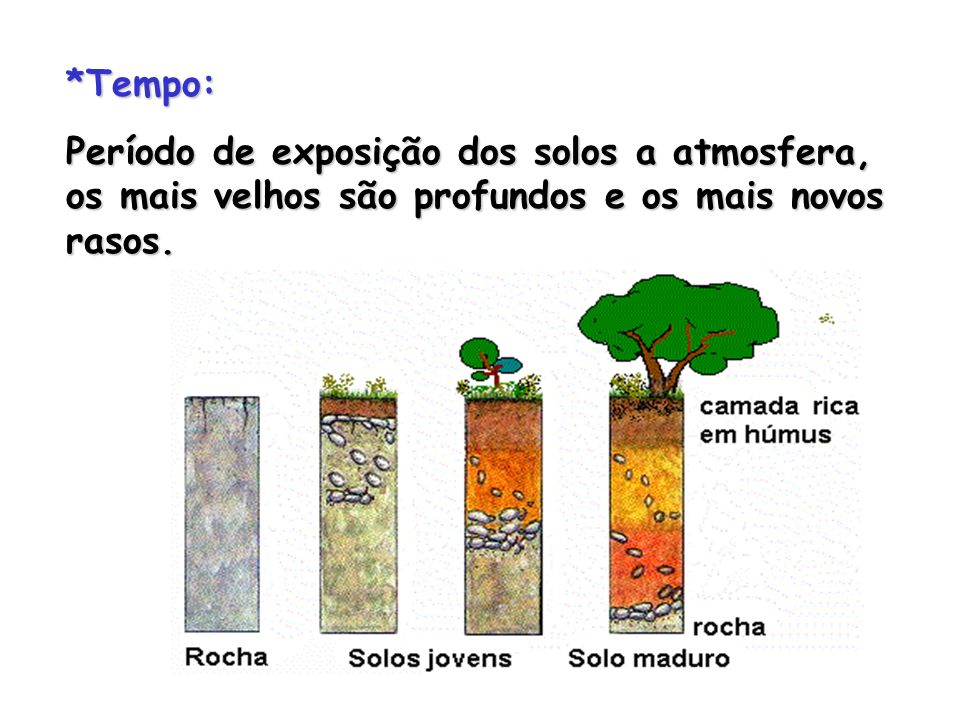 *Tempo: Período de exposição dos solos a atmosfera, os mais velhos são profundos e os mais novos rasos.