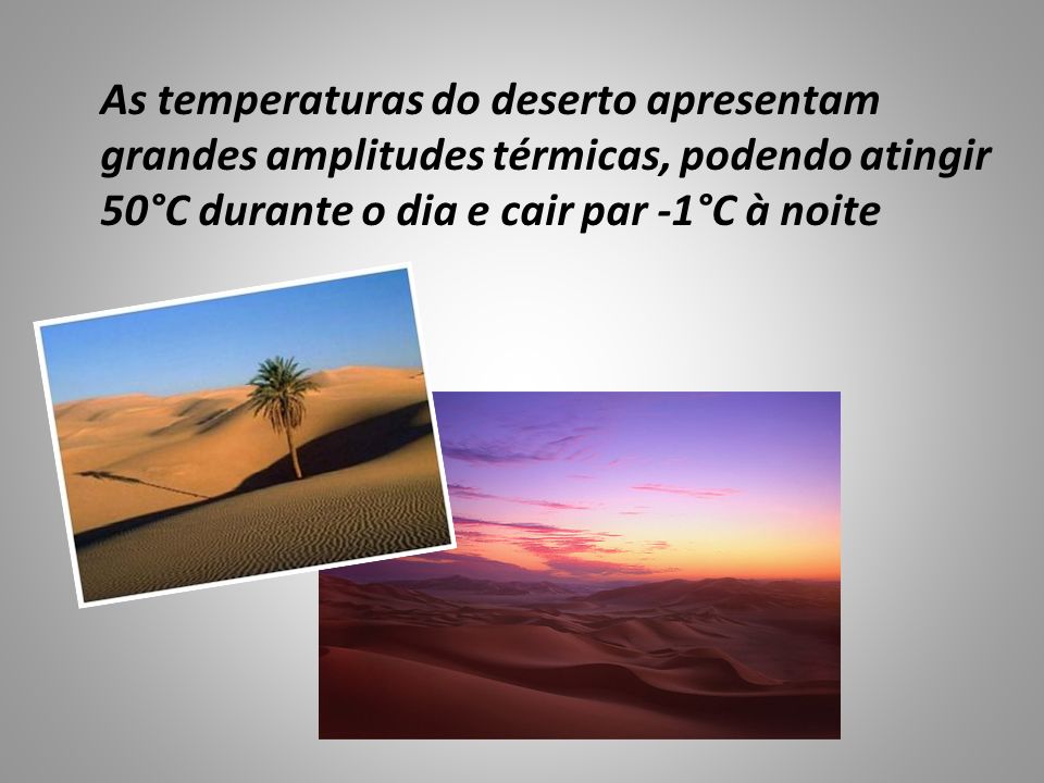 As temperaturas do deserto apresentam grandes amplitudes térmicas, podendo atingir 50°C durante o dia e cair par -1°C à noite
