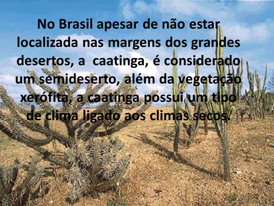 No Brasil apesar de não estar localizada nas margens dos grandes desertos, a caatinga, é considerado um semideserto, além da vegetação xerófita, a caatinga possui um tipo de clima ligado aos climas secos.