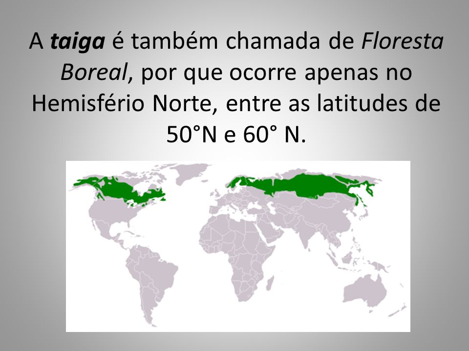 A taiga é também chamada de Floresta Boreal, por que ocorre apenas no Hemisfério Norte, entre as latitudes de 50°N e 60° N.