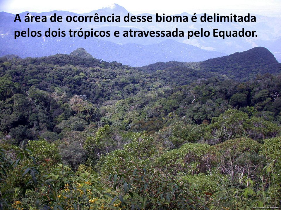 A área de ocorrência desse bioma é delimitada pelos dois trópicos e atravessada pelo Equador.