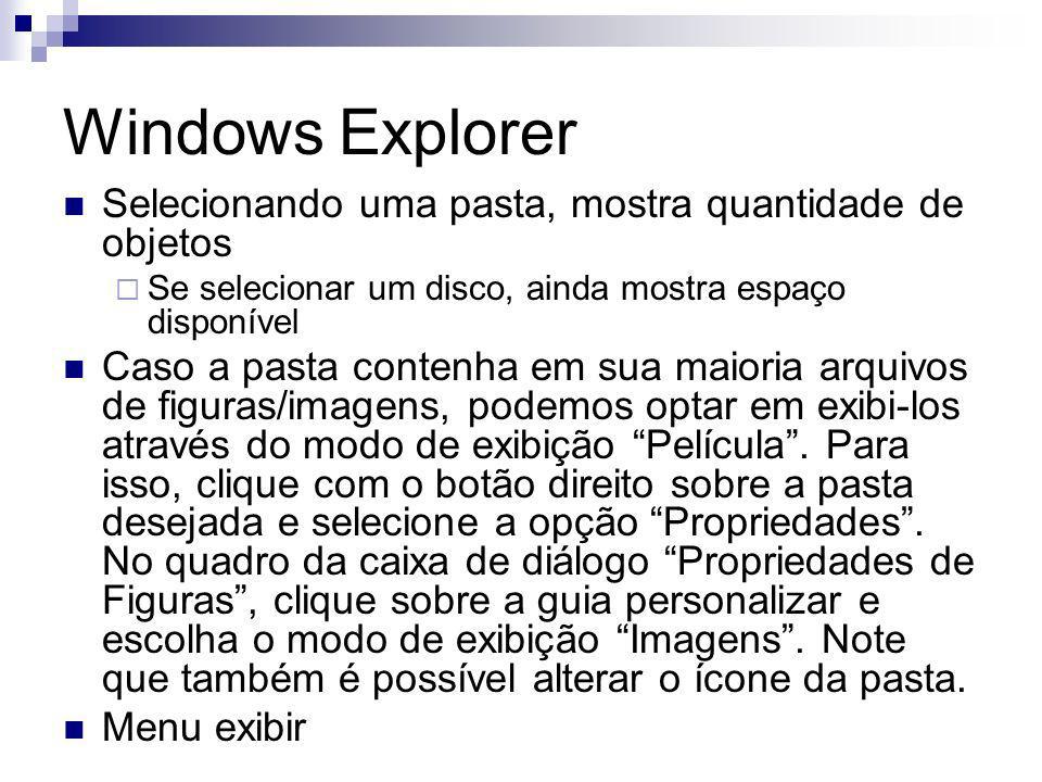 Windows Explorer Selecionando uma pasta, mostra quantidade de objetos