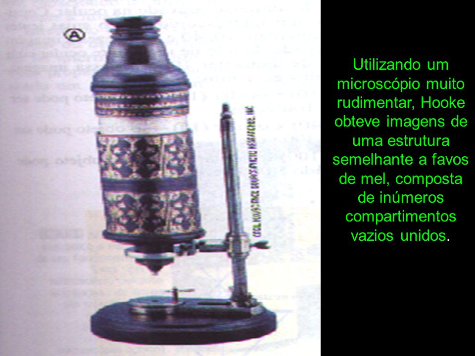 Utilizando um microscópio muito rudimentar, Hooke obteve imagens de uma estrutura semelhante a favos de mel, composta de inúmeros compartimentos vazios unidos.