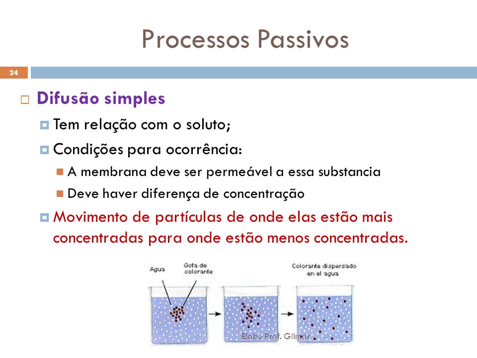 Processos Passivos Difusão simples Tem relação com o soluto;