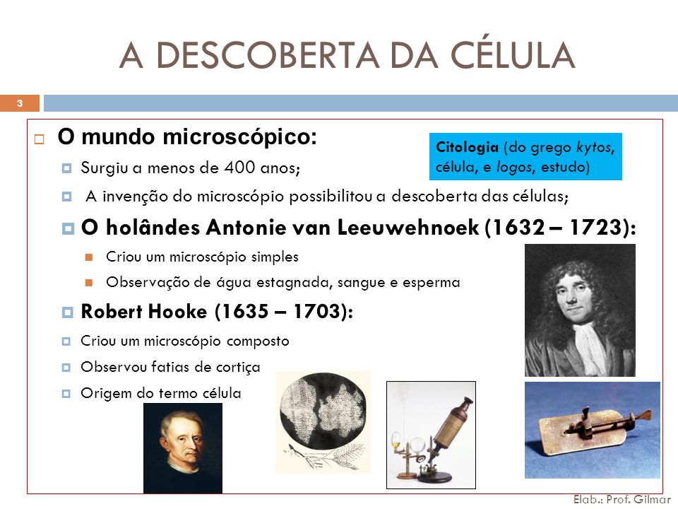 A DESCOBERTA DA CÉLULA O mundo microscópico: Surgiu a menos de 400 anos; A invenção do microscópio possibilitou a descoberta das células;