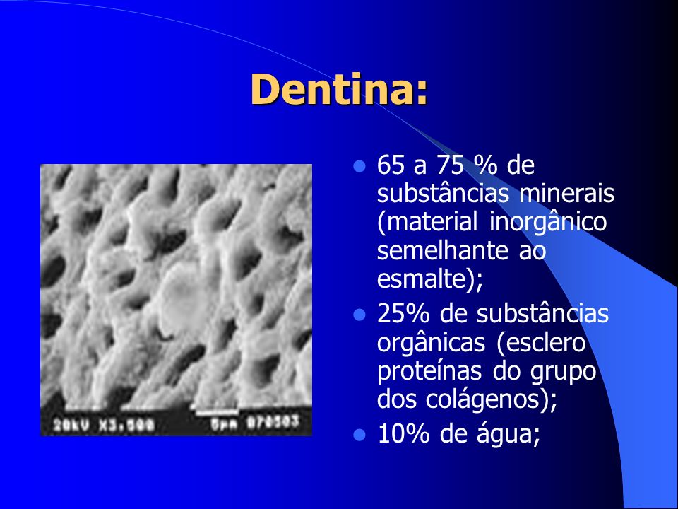 Dentina: 65 a 75 % de substâncias minerais (material inorgânico semelhante ao esmalte);