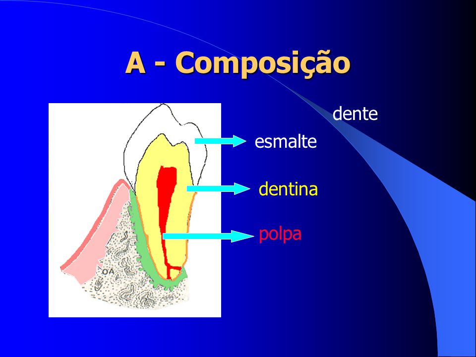 A - Composição dente esmalte dentina polpa