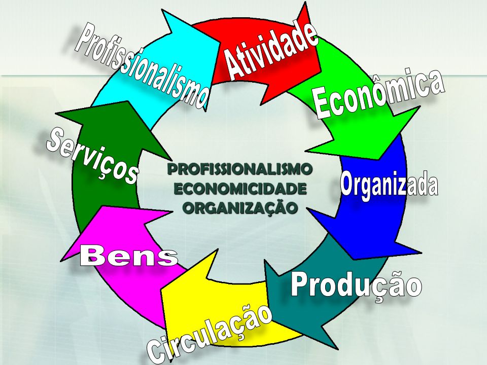 PROFISSIONALISMO ECONOMICIDADE ORGANIZAÇÃO Atividade Profissionalismo