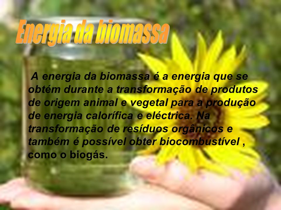 Energia da biomassa