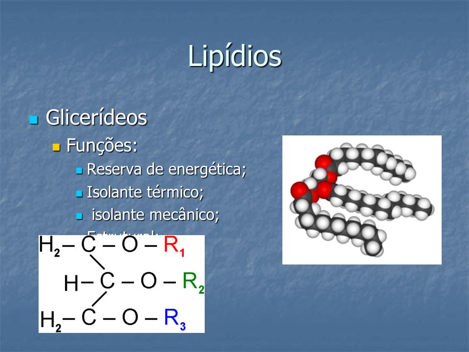 Lipídios Glicerídeos Funções: Reserva de energética; Isolante térmico;