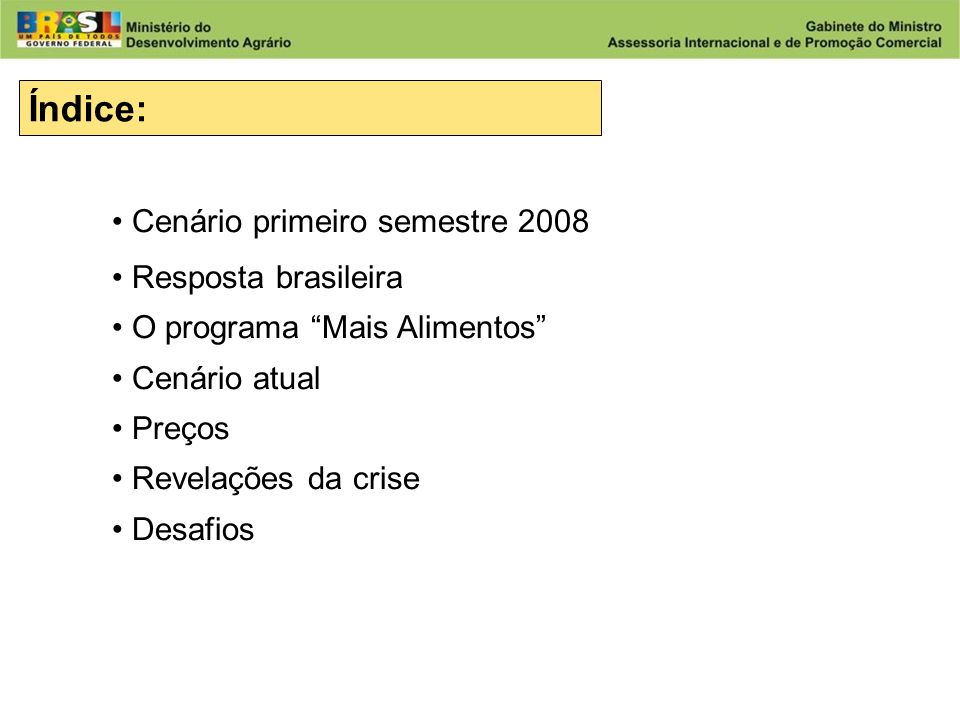 Índice: Cenário primeiro semestre 2008 Resposta brasileira