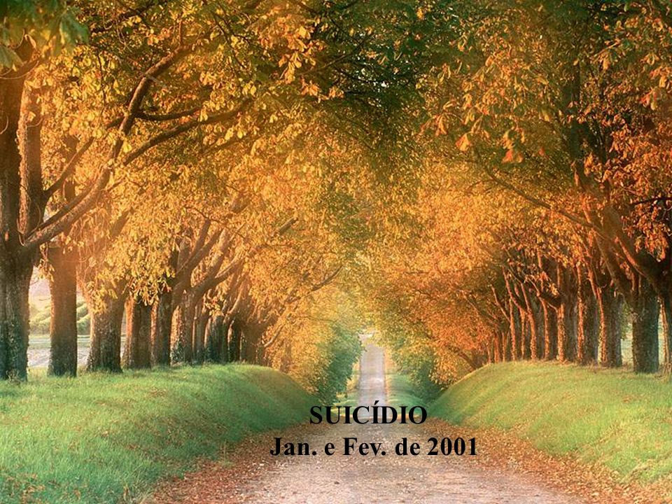 SUICÍDIO Jan. e Fev. de 2001