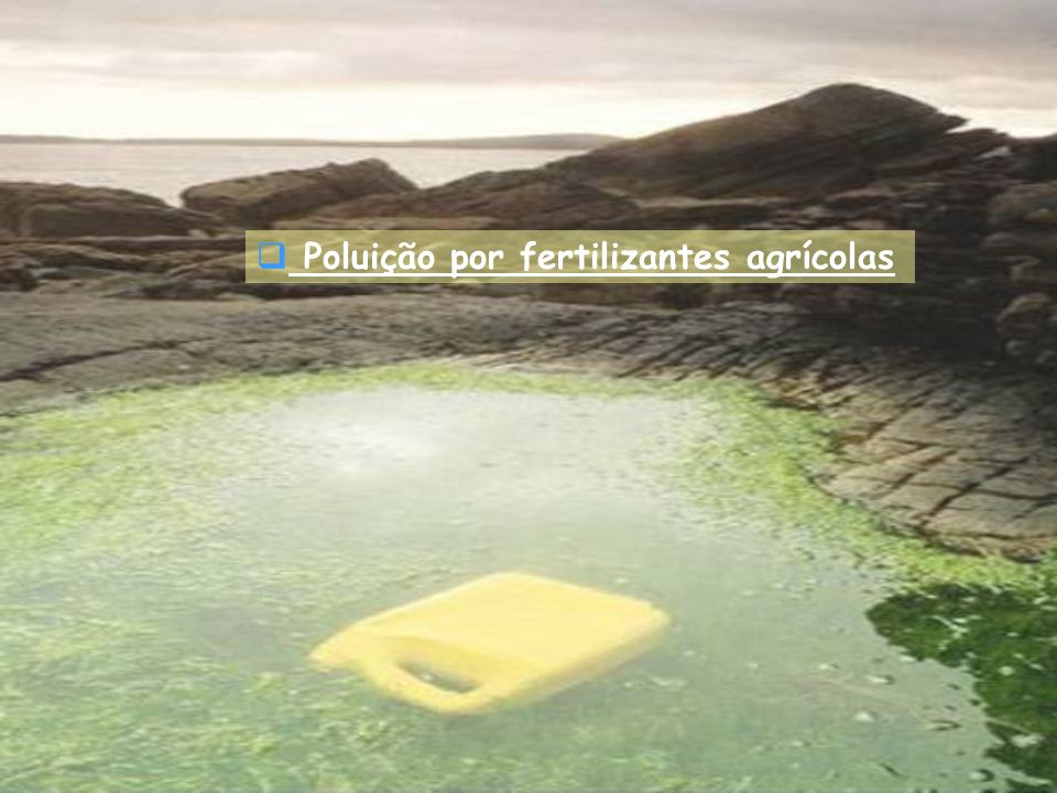 Poluição por fertilizantes agrícolas