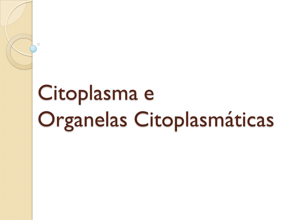 Citoplasma e Organelas Citoplasmáticas