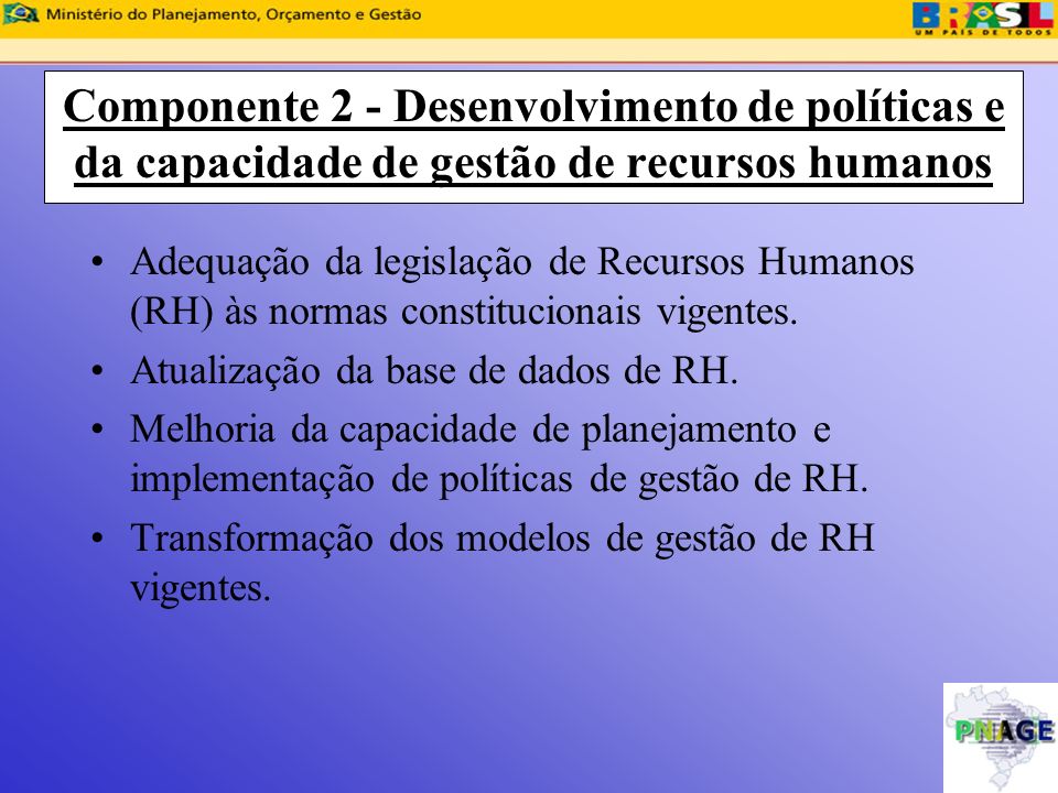 Componente 2 - Desenvolvimento de políticas e da capacidade de gestão de recursos humanos