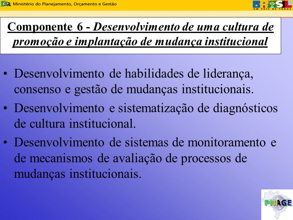 Componente 6 - Desenvolvimento de uma cultura de promoção e implantação de mudança institucional