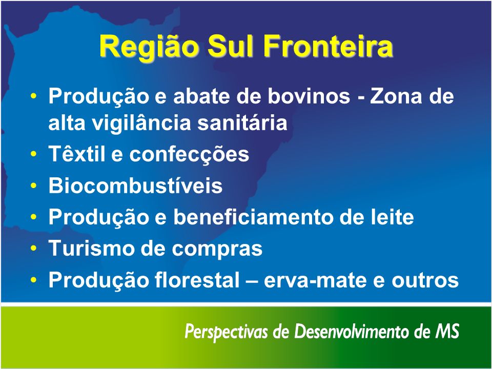 Região Sul Fronteira Produção e abate de bovinos - Zona de alta vigilância sanitária. Têxtil e confecções.