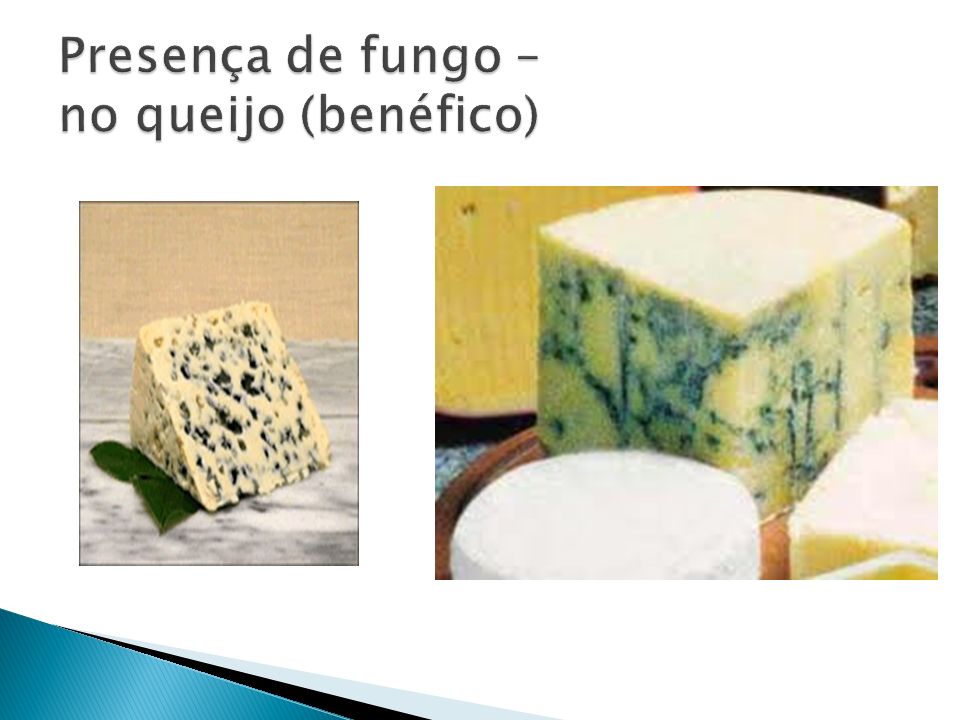 Presença de fungo – no queijo (benéfico)