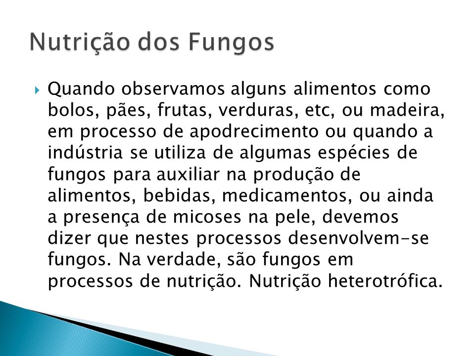 Nutrição dos Fungos
