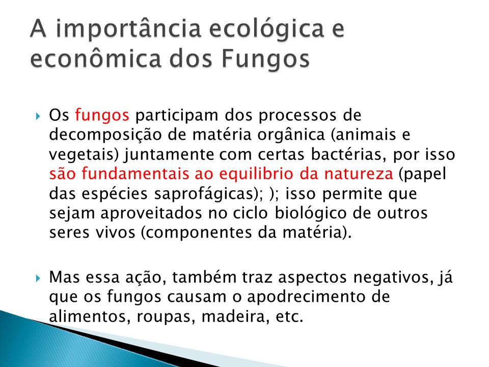 A importância ecológica e econômica dos Fungos