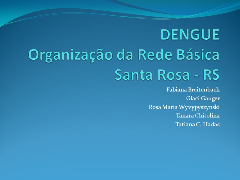 DENGUE Organização da Rede Básica Santa Rosa - RS