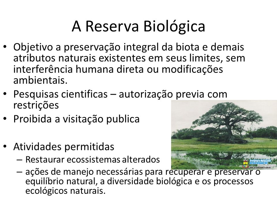 A Reserva Biológica