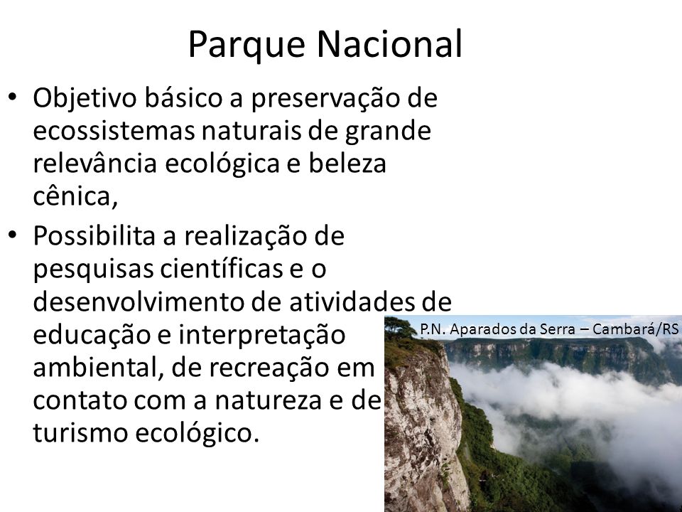 Parque Nacional Objetivo básico a preservação de ecossistemas naturais de grande relevância ecológica e beleza cênica,
