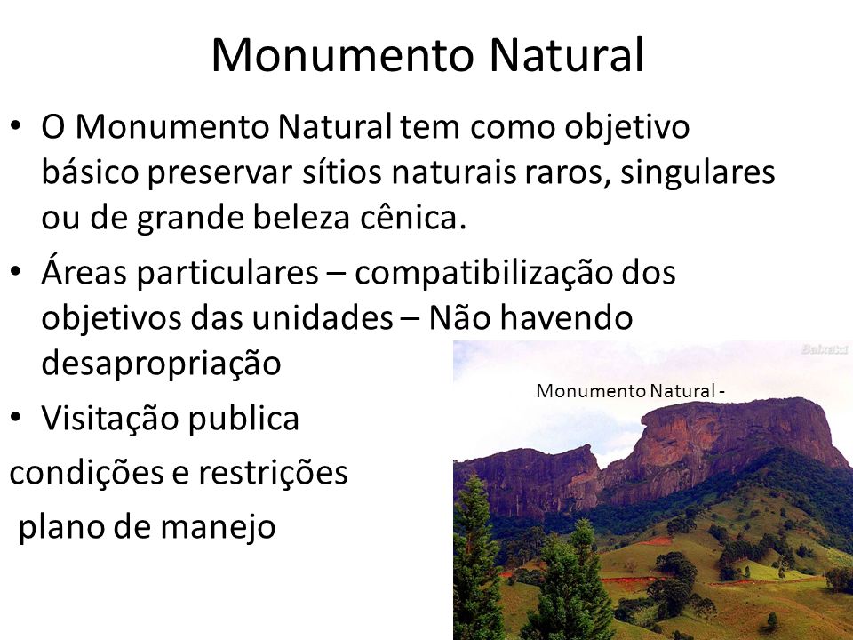 Monumento Natural O Monumento Natural tem como objetivo básico preservar sítios naturais raros, singulares ou de grande beleza cênica.