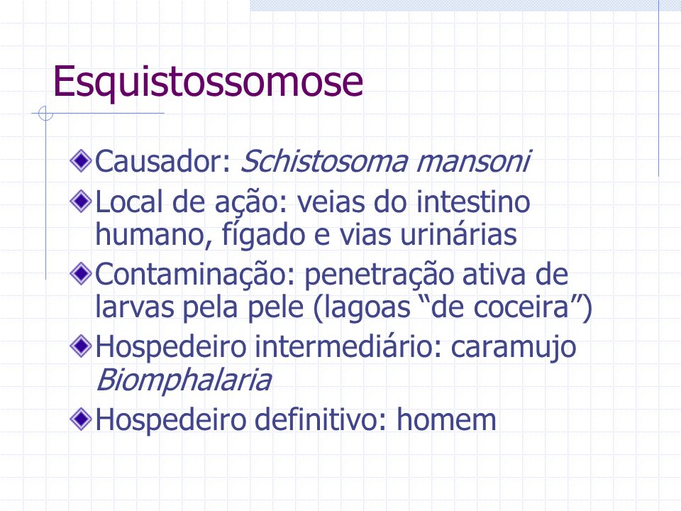 Esquistossomose Causador: Schistosoma mansoni