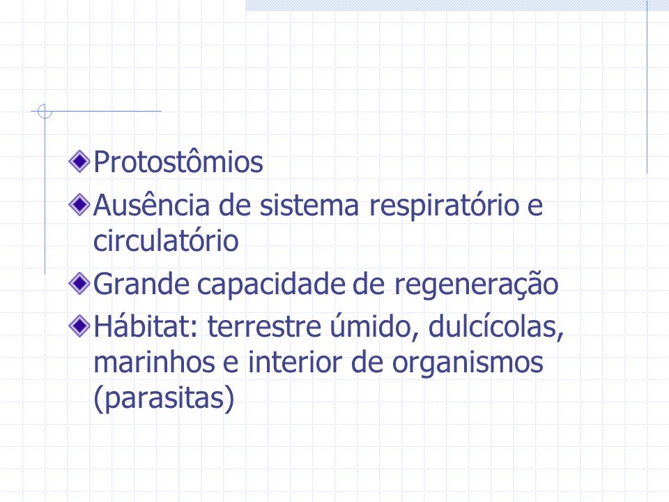 Protostômios Ausência de sistema respiratório e circulatório. Grande capacidade de regeneração.