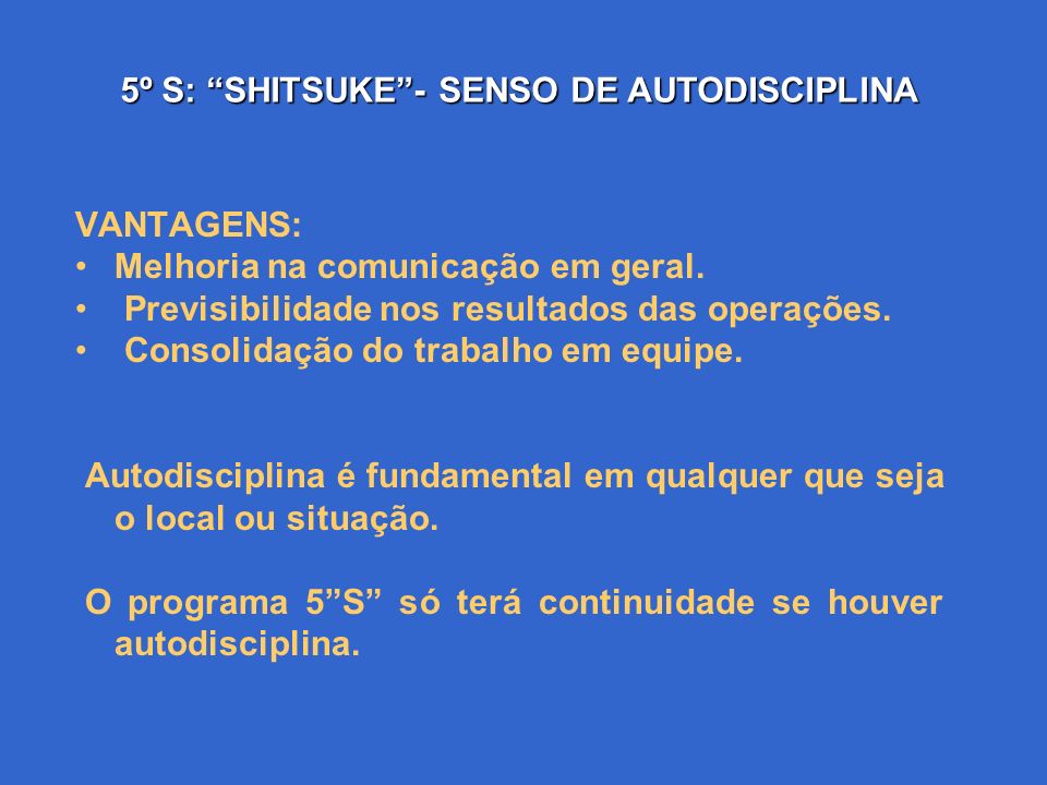 5º S: SHITSUKE - SENSO DE AUTODISCIPLINA