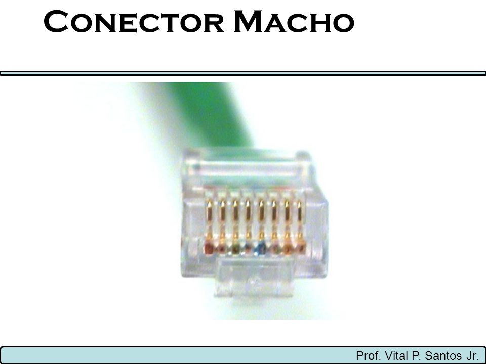 Conector Macho Prof. Vital P. Santos Jr.