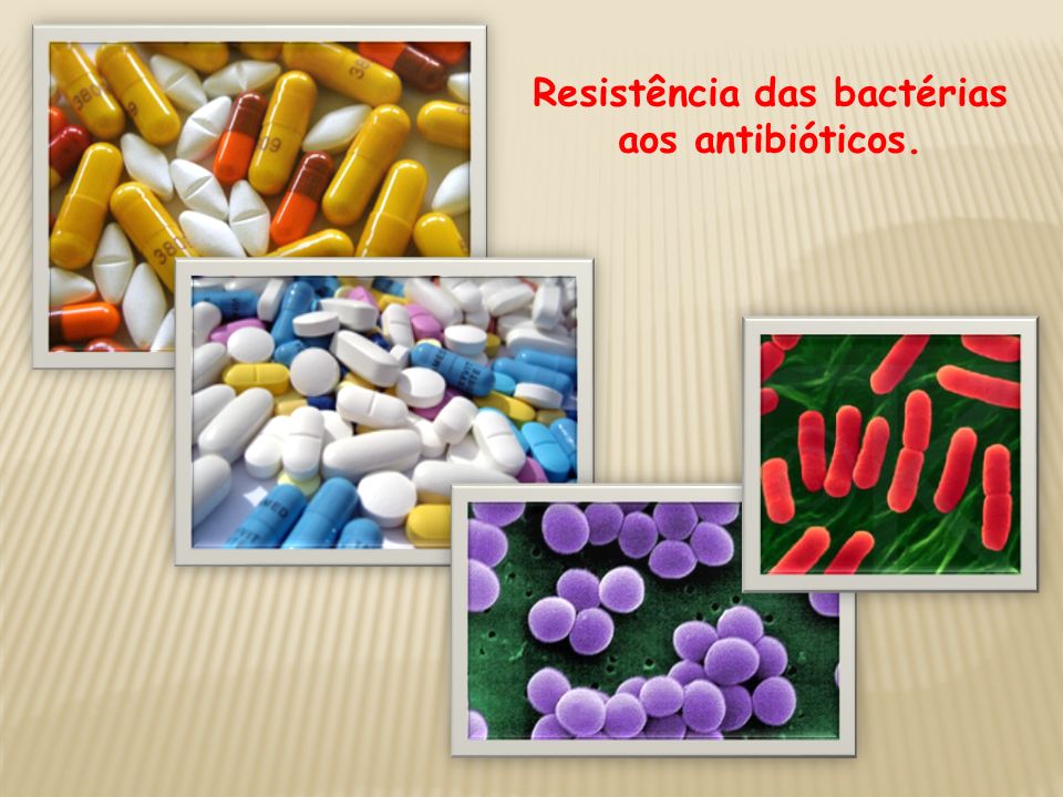 Resistência das bactérias aos antibióticos.