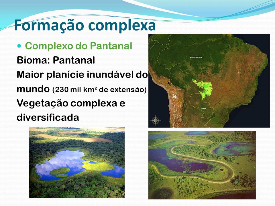 Formação complexa Complexo do Pantanal Bioma: Pantanal