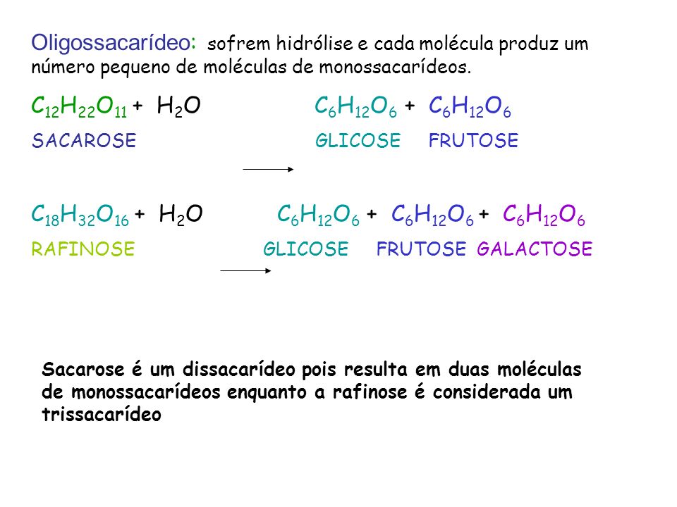 Oligossacarídeo: sofrem hidrólise e cada molécula produz um número pequeno de moléculas de monossacarídeos.
