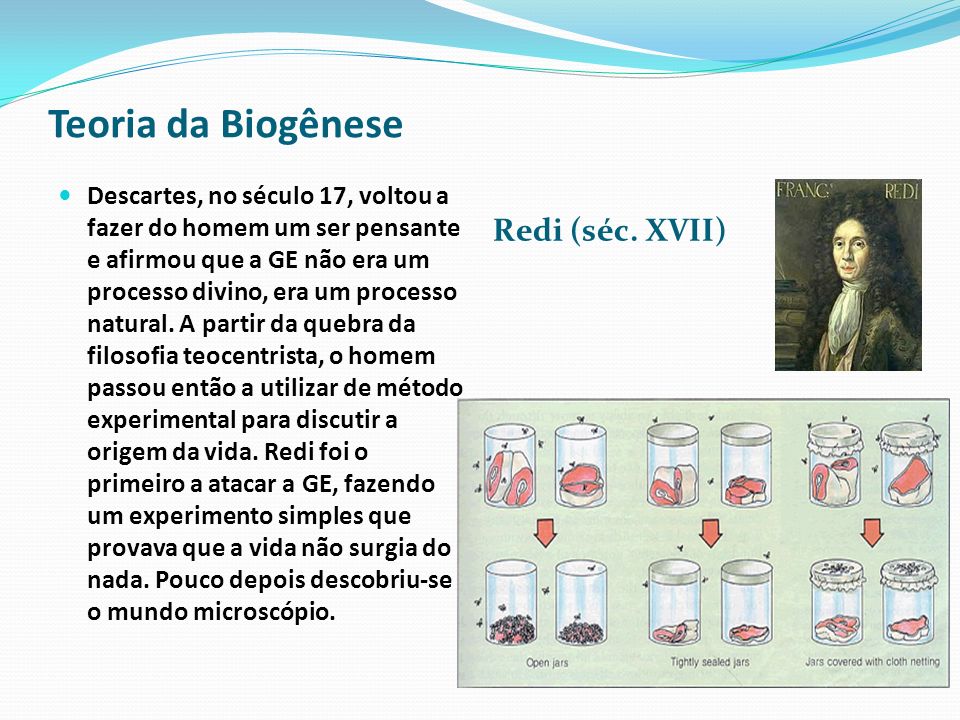 Teoria da Biogênese Redi (séc. XVII)