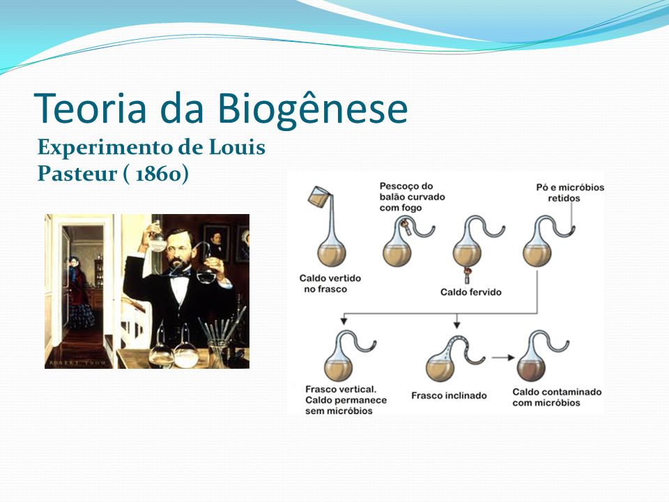Teoria da Biogênese Experimento de Louis Pasteur ( 1860)