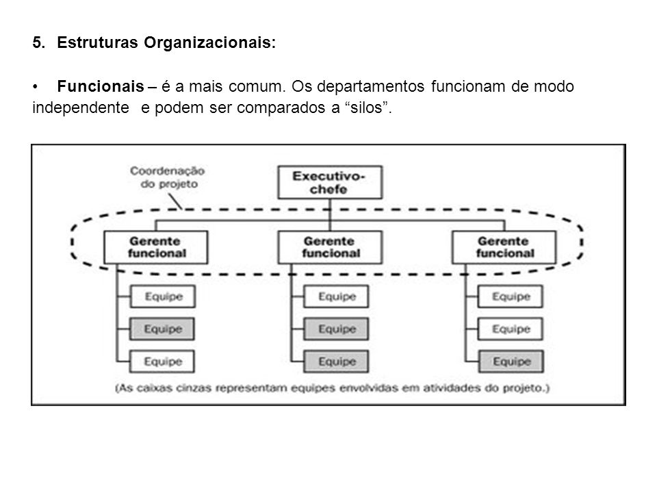 Estruturas Organizacionais:
