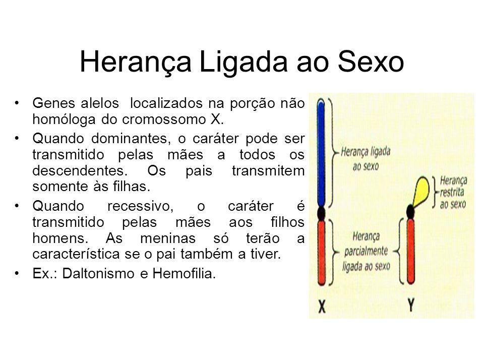 Herança Ligada ao Sexo Genes alelos localizados na porção não homóloga do cromossomo X.