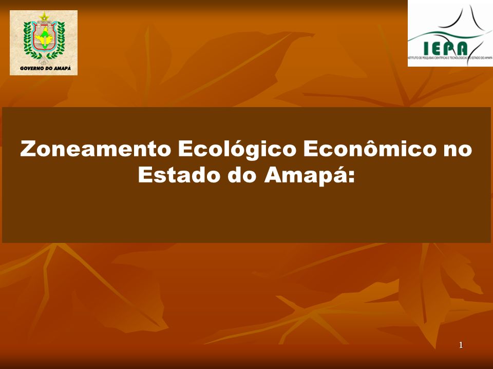 Zoneamento Ecológico Econômico no Estado do Amapá: